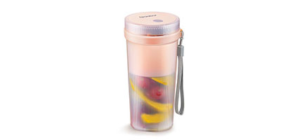 Portable Juice Blender Fruit Juice Recipe