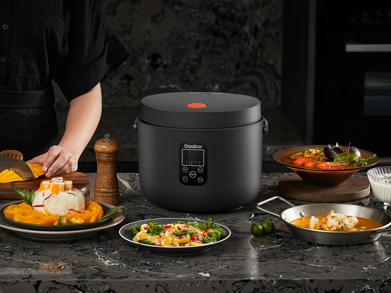 electric rice cooker 3 litre