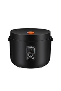 golden ganga rice cooker