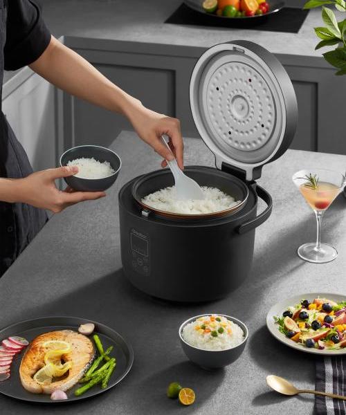 Multi Purpose Electric Rice Cooker