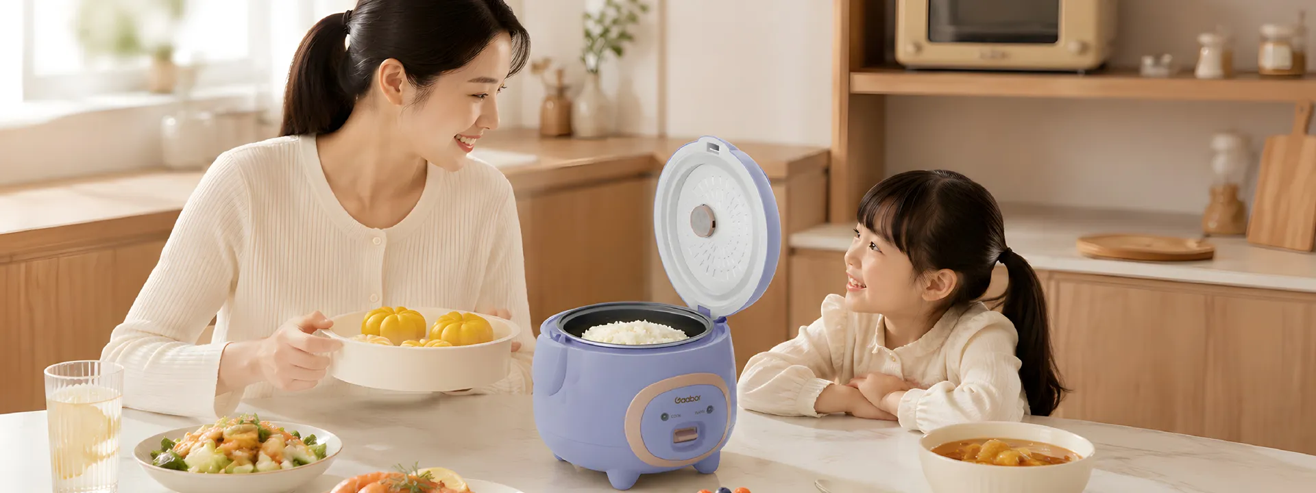 gaabor rice cooker