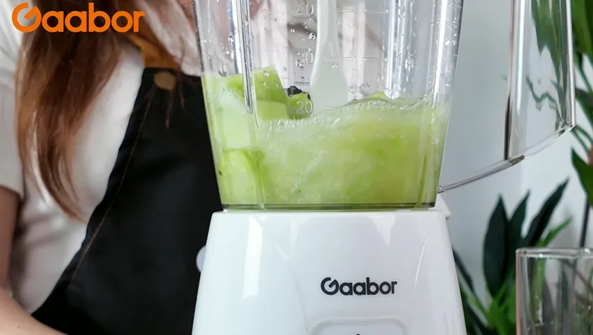 Gaabor Multi-functional Blender | JM-18M01A